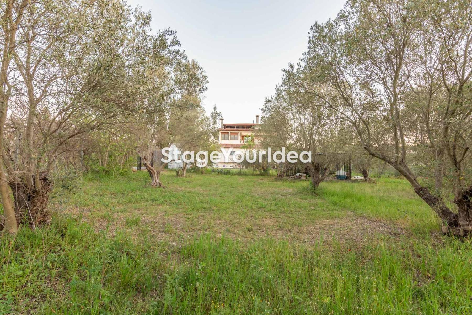 Luxury Appartment, Only 7 Minutes From Thessaloniki Airport And 15 Minutes From City Center ,For 8-23 People Also For Gatherings And Parties Neon Rysion Exterior photo